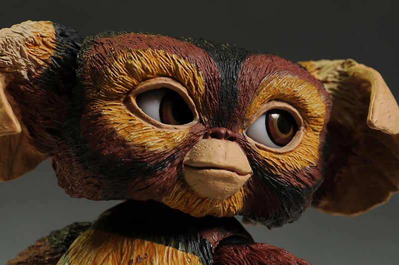 Review and photos of Gremlins Penny, Doo Dah, Brownie action