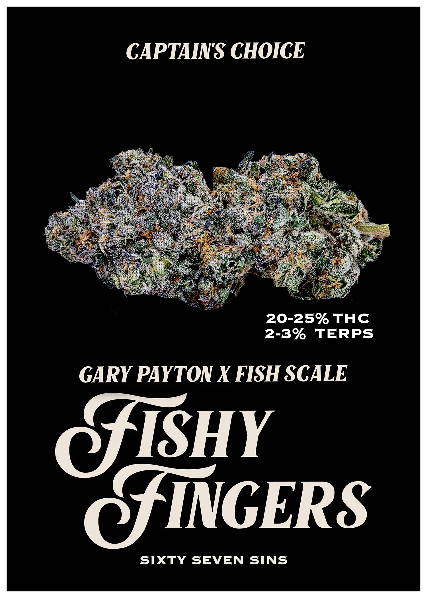 FISHY FINGERS – sixty seven sins